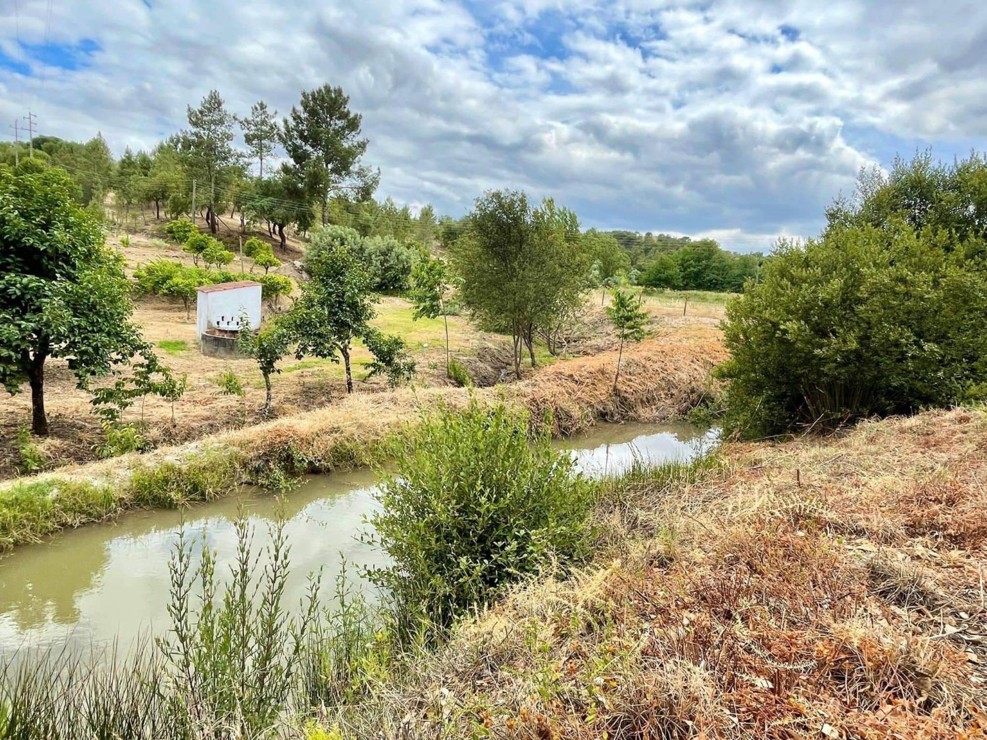 Monte Argil Διαμέρισμα Montargil Εξωτερικό φωτογραφία